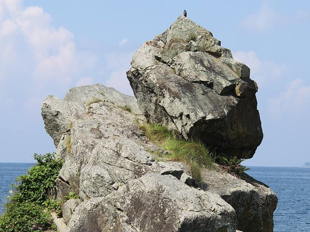 �l�ʊ�i����j�̎ʐ^1