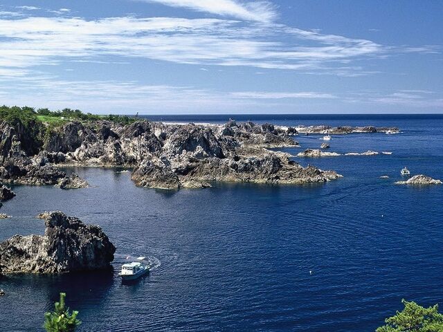 ��t�p�̎ʐ^1