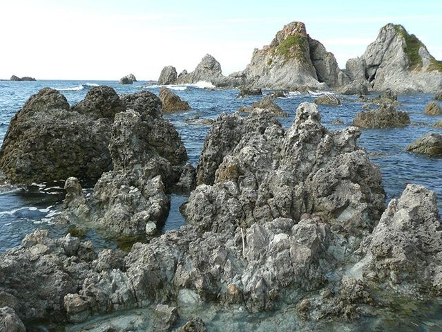 �v�w��̎ʐ^1