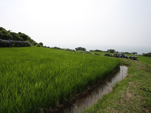 �k�ЕӒI�c�̎ʐ^1