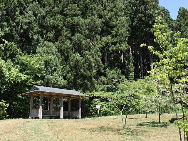 �ߎq��R�̎ʐ^1