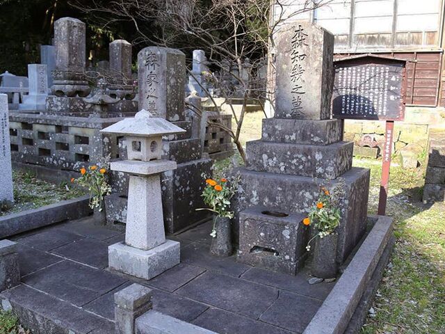 ������̎ʐ^1