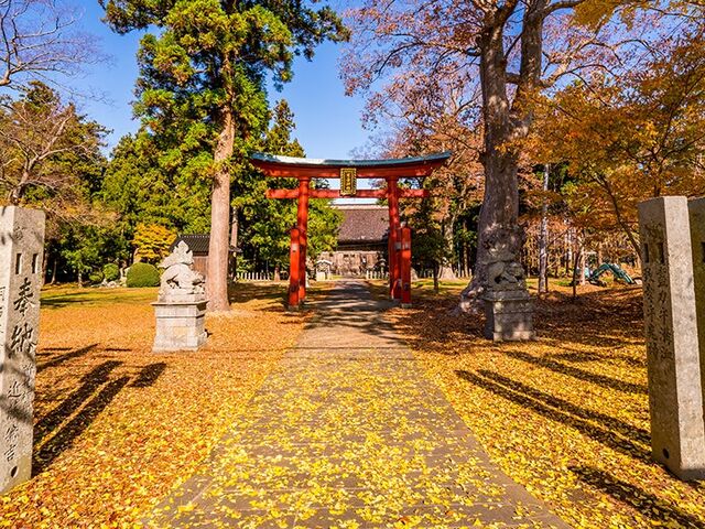 ���g�_�Ђ̎ʐ^1