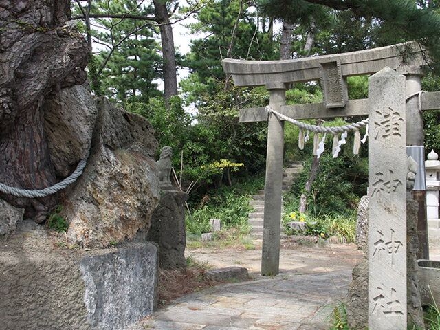 �Ð_�_�Ђ̎ʐ^1