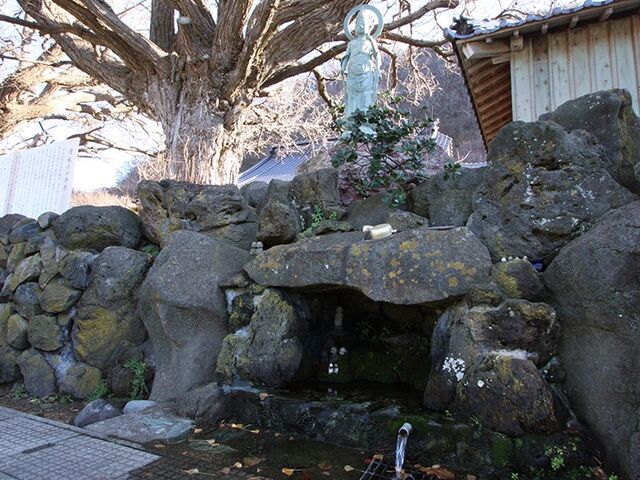 �Ζ��������̎ʐ^1