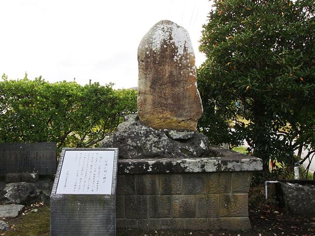 ���@���l�g��ڔ�̎ʐ^1