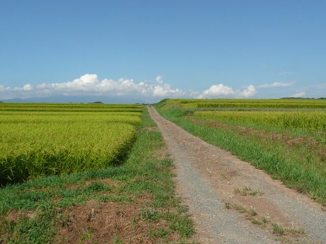 ���{�Ō�̃g�L�a�t���̒n�̎ʐ^1