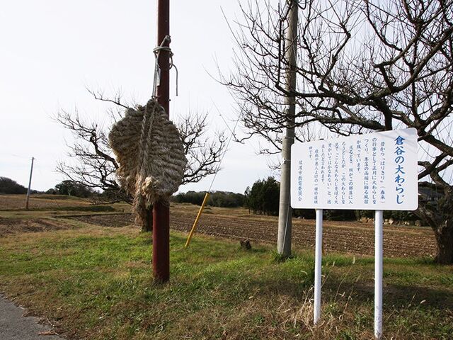 �q�J�̑��炶�̎ʐ^1