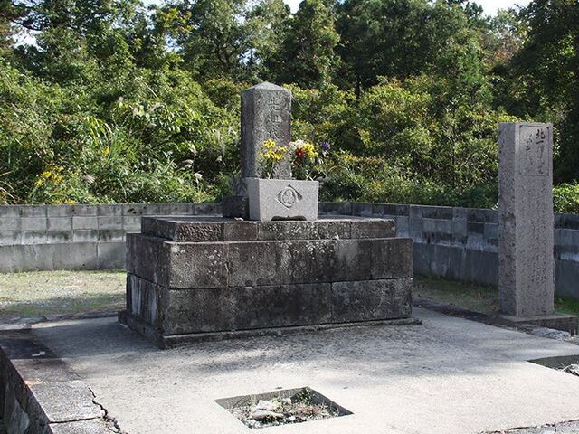 �k��P�̕�̎ʐ^1