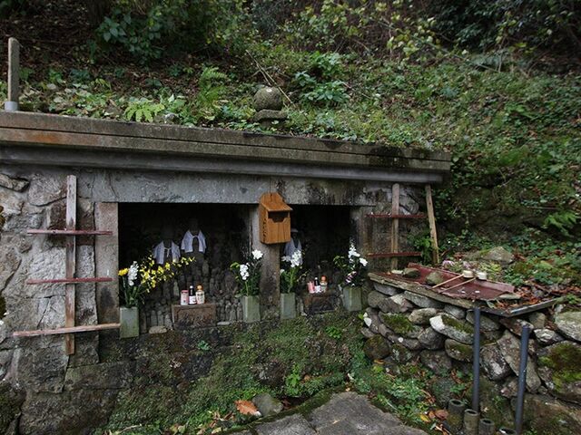 �ڐ􂢒n���̎ʐ^1