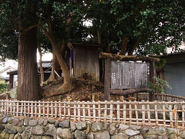 �����ˁi����j�̎ʐ^1