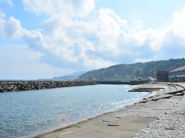 �邪�l�C������̎ʐ^1