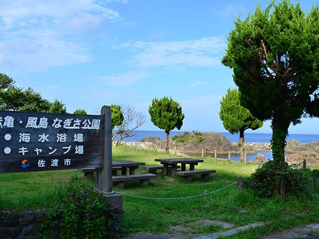 �ԋT�E�����Ȃ��������C������̎ʐ^1