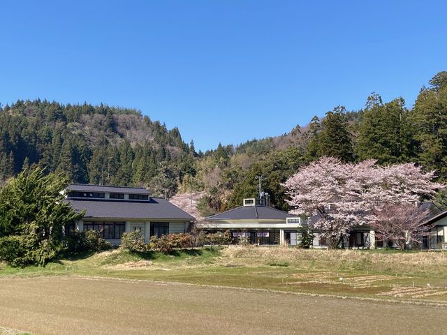 �N�A�e�������n�̎ʐ^1