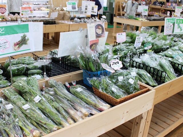 �V�N��ԁ@���񂩎ɂ̎ʐ^1