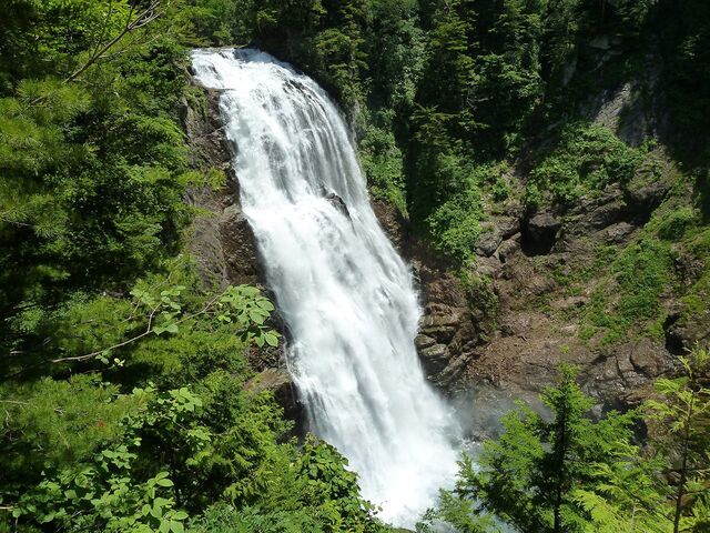 �O���̑�̎ʐ^1