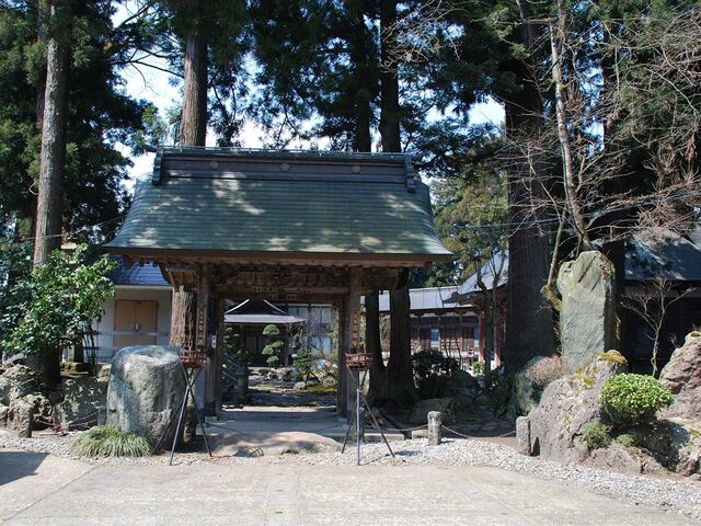 �~�����̎ʐ^1