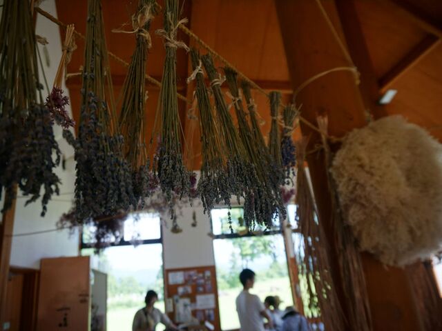 �z��n�[�u�������L���̎ʐ^1