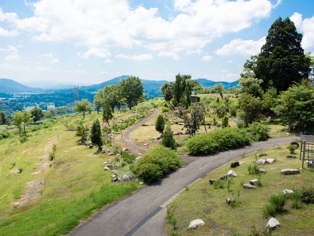 �z��n�[�u�������L��