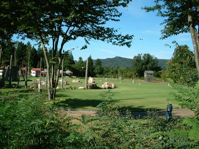 �L�����s���O�p�[�N�_��