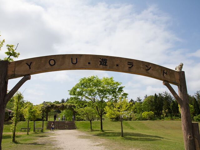 �c�㒬��������YOU�E�V�����h�̎ʐ^1