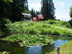 �����Ռ����L�����v��̎ʐ^1