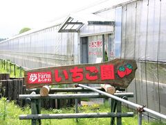 ���t�@�[�����炩�킢�������̎ʐ^