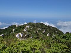 ���P�R�̎ʐ^1