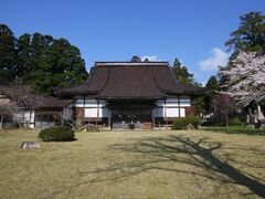 �T�����̎ʐ^1