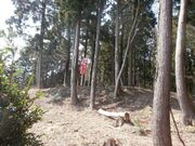 ����R�E�ۏ��R�����o�R���i�V�_�R���[�g�j�̎ʐ^2