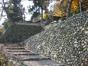 �^�@�y�R���̎ʐ^2