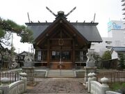 �_���{�̎ʐ^2