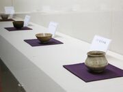 �ؑ��������p�ف@�����ȑ̌��̎ʐ^2