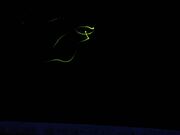 ��V������̎ʐ^2