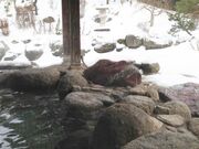 �S�Ԃ̗��u��R����v�̎ʐ^2