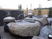 �[�w������u���_�̋��v�̎ʐ^3