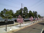 �������܂�w�̎ʐ^2