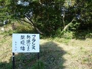 �����R�̎ʐ^3