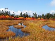 �����������̎ʐ^2