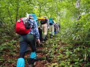 �����������̎ʐ^3