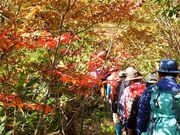 �����������̎ʐ^4