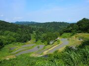 �z�㏼��I�c�Q�@�����̒I�c�̎ʐ^2