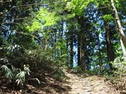 ���w��d�v�������u�����_�Ёv�̎ʐ^2