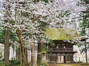 �_�{���ω����E�R��̎ʐ^4