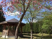 �d�n��r���R�ώ@�L��̎ʐ^3