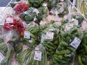 ���̉w�u�܂����ӂ邳�Ɖ�فv�i����253���j�̎ʐ^2