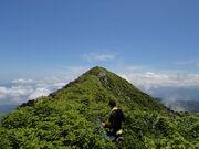 ���P�R�̎ʐ^2