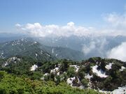 ���P�R�̎ʐ^3