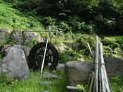 �g�R���e���̐��i�Ƃ���Ă�݂̂��j�̎ʐ^2