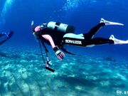 �_�C�r���O�T�[�r�X�@F.WAVE�̎ʐ^3